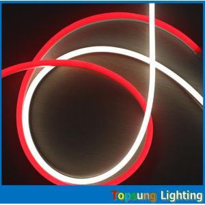 micro size 8.5*17mm led neon light 24v/12v rgb neon flex light with waterproo