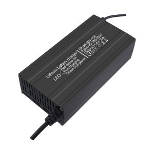 Multi-Protection Safety Protection Custom 12V 24V 36V 48V 60V 10A 20A 25A 30A