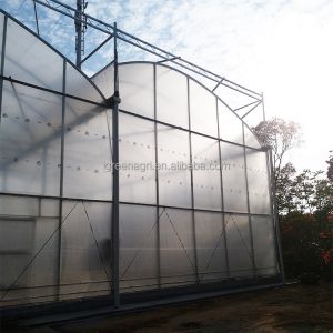 Single Layer Greenhouse Hydroponics System Wrought Iron Greenhouse With Film