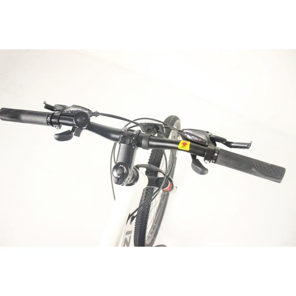 OEM 21 Speed MTB Mountain Bikes With Shimano Tourney Front Derailleur