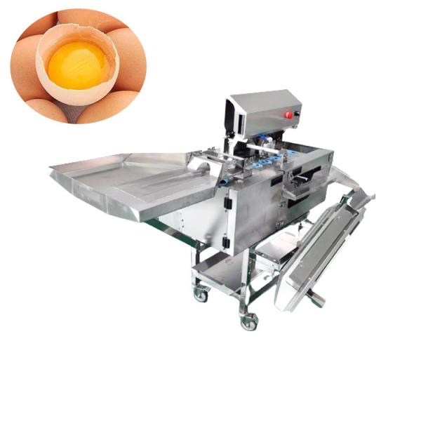 Quality 3000pcs/H Industrial Egg Separator Machine Stainless Steel Commercial Egg Cracker And Separator 0.5kw wholesale