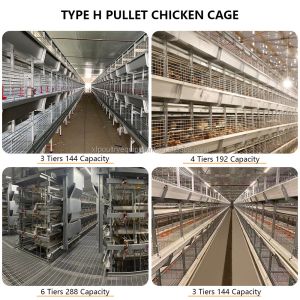 Automatic Battery Day Old Chicks Poultry Equipment Automated Pullet Brooding