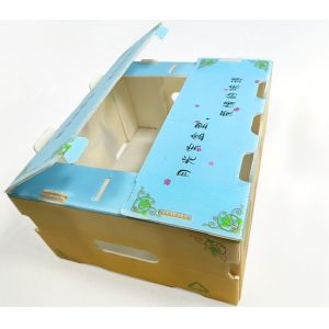Fruit Vegetable Packing PP Cartonplast Grapes Packing Boxes Plastic Broccoli