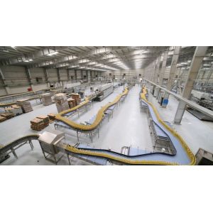 100T/D 304 Stainless Steel Mango Jam Making Machine Mechanized Production