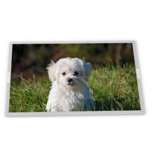 China New LM32P10 4.7 Inch STN Industrial LCD Display Panel 320*240 Resolution LCD Modules on sale