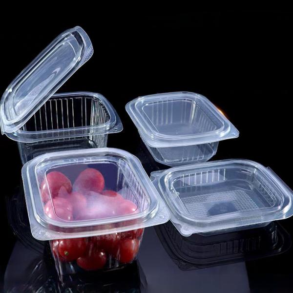 Quality Customized factory disposable transparent vacuum formed rectangular PET plastic hinge clam shell flat lid sauce, fruit and vegetable pudding box wholesale