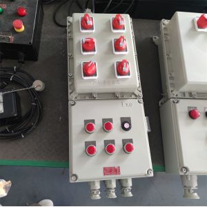 IP66 Explosionproof Flameproof Control Panels WF2 With Custom Cable Entry ATEX