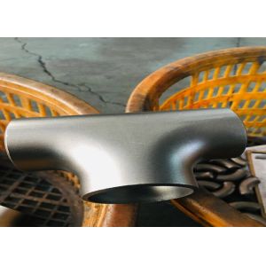 Alloy 1815 1.4361 F46 S30600 Reducing Pipe Tee