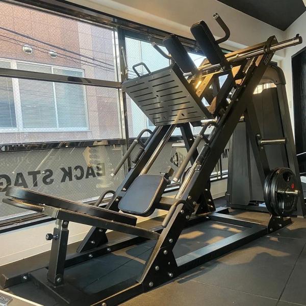 Strength Training Gym Equipment 2 in 1 Dual Function Plate Loaded Hack Squat Leg