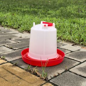 Constant Water Supply Poultry Chicken Drinker Standard Version Long Lasting