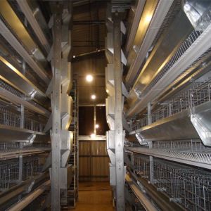 Hot Galvanized Long Lifespan Layer Battery Cages For Farm