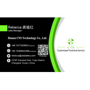 AGV Robot Golf Cart Lithium Ion Batteries Pack with 3000 Life Cycles 24V 48V