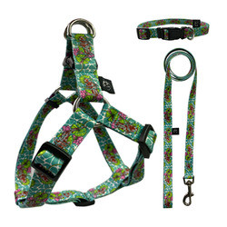 5kg Dog Harness Set