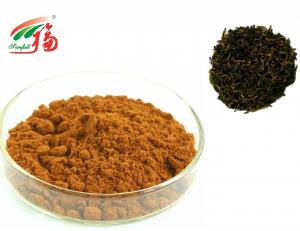China 20% - 60% Theaflavins Black Tea Extract Powder For Lowering Blood Fat on sale