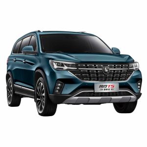 Dongfeng Fengxing Forthing T5 EVO SUV 2022 High Speed Car 101km/H