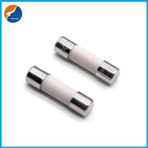 250V 300V 1.25A 2.5A 6.3A Miniature Cartridge Fuse Fast Acting Ceramic Fuse