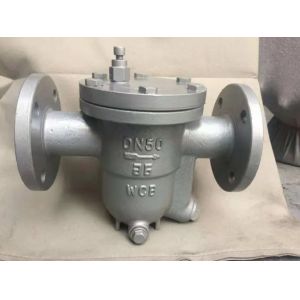 Industrial Usage Steam Trap Valve and Drain Valve with Standard Customization