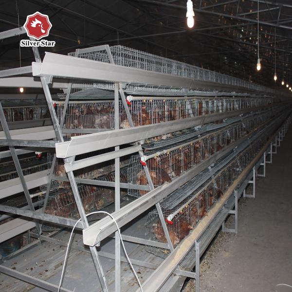 Quality A Type 3 Tiers Big Size Chicken Breeding Cage Chicken Farm wholesale