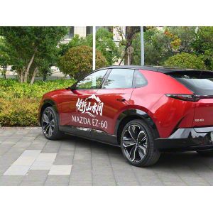 Popular Used Cars Basic Parameters 1.71L/100km Electric Energy Equivalent Fuel