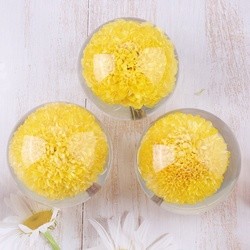 Custom clear epoxy real flower specimen acrylic dandelion paper weight