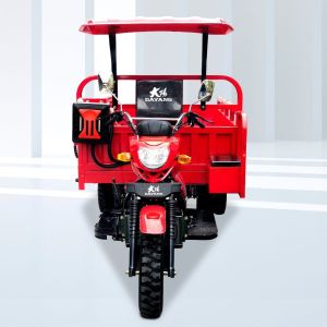 DAYANG Diesel Tricycles Motorized 250 cc for Engineering Agriculture and Dumping