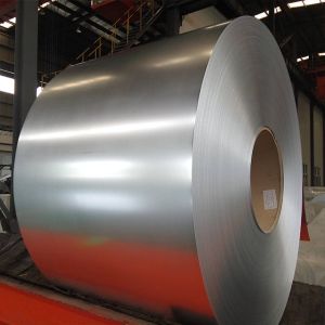 Hot DIP Galvanized Steel Coil with Zero Spangle 0.5*1250mm 0.8*1200mm Width ISO9001 Certified
