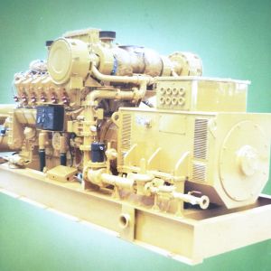 AC Three Phase Output Type 200kW H16V190 Chidong Jichai Jinan Gas Generator for Solutions