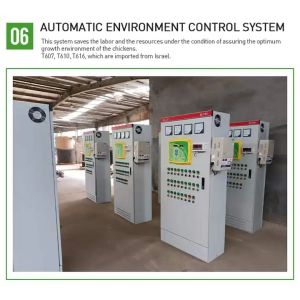 Chicken Coop Automatic Poultry Farm Equipment With Ventilation System