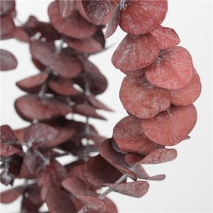 Soft Real Dried Eucalyptus Leaves Can Last 3-5 Years For Decoration