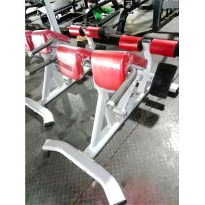 Adjustable Back Extension Roman Chair Home Gym Strength Training Machine for