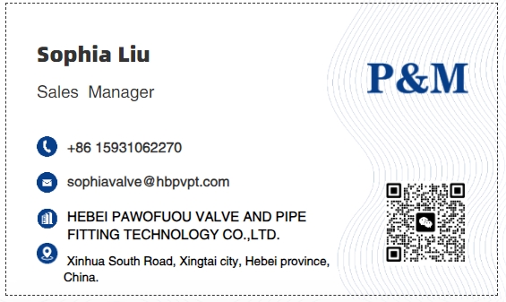 stainless steel SCS13 JIS10K flange end ball valve