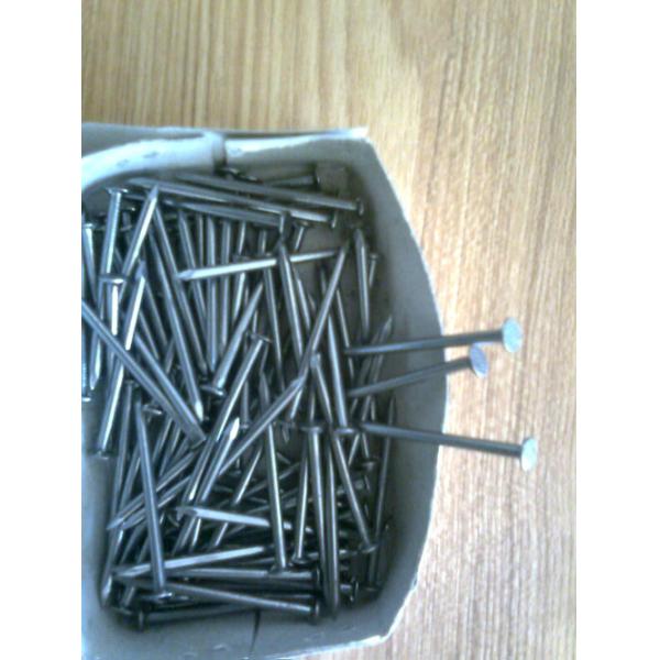 Quality diamond point common nails wholesale