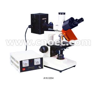 Cheap 40X - 1000X Fluorescence Microscope Trinocular Compound Microscopes A16.0204 for sale