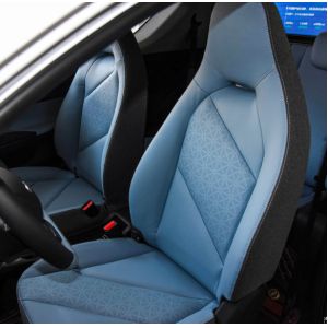 Chery Little Ant 2023 251KM Reai Revised Lithium Iron Phosphate Pure Electric