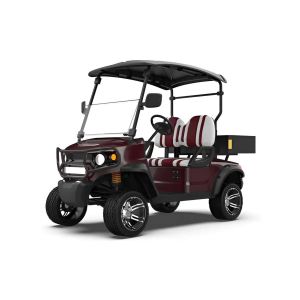 All-Terrain Electric Golf Cart Style, Durability, And Performance Available In