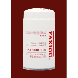 China Personalised Fuel Diesel Engine Oil Filter 612600081334 M20x1.5 on sale