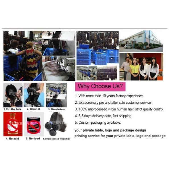 Cheapest cheap virgin brazilian curly hairs