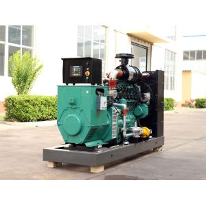 24/7 Running 125kva LPG Generator Set with Super Silent Design and CE/ISO