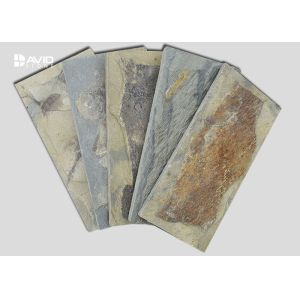 Mushroom Shaped Slate Paving Stones , Slate Floor Tiles Custom Size