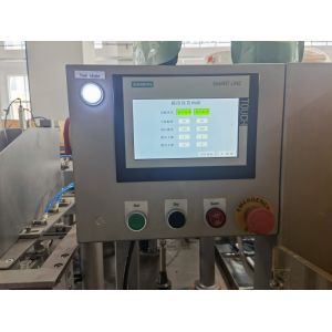 Tomato Processing Line Fruit Juice Processing Machine Solution