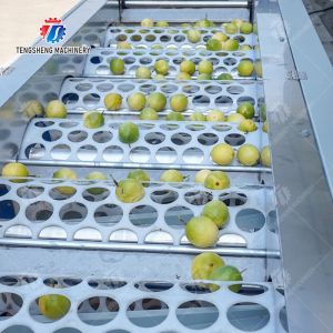 Passion fruit cleaning and drying sorting production line Fruit Vegetable FOOD
