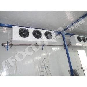 Bitzer Compressor Solar Ice Preservation Cold Storage Chamber for Food