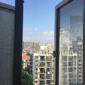 Cheap Modern Style Double Glazed Minetal Window with Integral Blinds Between Glass Panel for sale