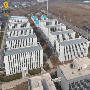 Multi Storey Steel Building 1-20 Layer Q235B Q355B Frame