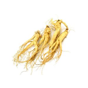 Pharmaceutical 80% Panax Root Natural Ginseng Extract Powder
