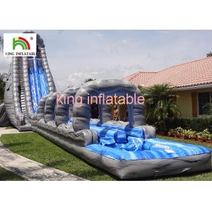 Outside Giant Inflatable Water Slide For Adults Entertainment PVC Tarpaulin