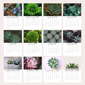 Matte Lamination Desk Calendar Printing 600-1000gsm Monthly Wall Calendars