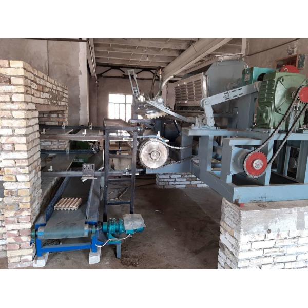 Quality Cheap Paper Egg Tray Production Line Egg Tray Making Machine  with Brick kiln wholesale