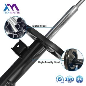 2033201330 Mercedes Benz C203 Coil Spring Shock 2004-2008 Front Shock Absorber