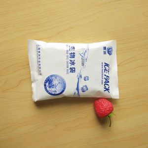 Cheap Insulated Dry Cold Ice Pack Reusable Gel Ice Bag For Food Chilled Shipping for sale